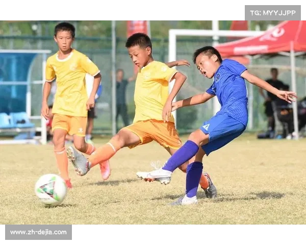 俱乐部青训投入增加，长期发展战略受重视